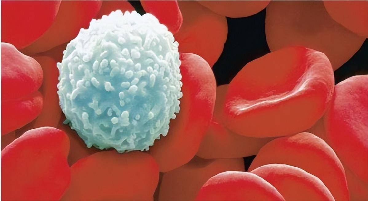 什么是血癌?血癌知多少