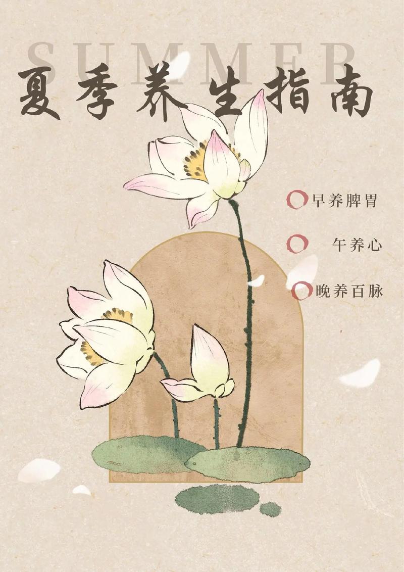 夏季养生健康指南