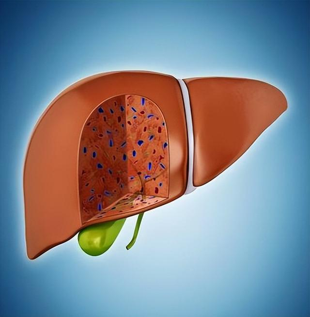 肝癌前期发出的信号